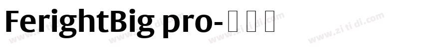 FerightBig pro字体转换